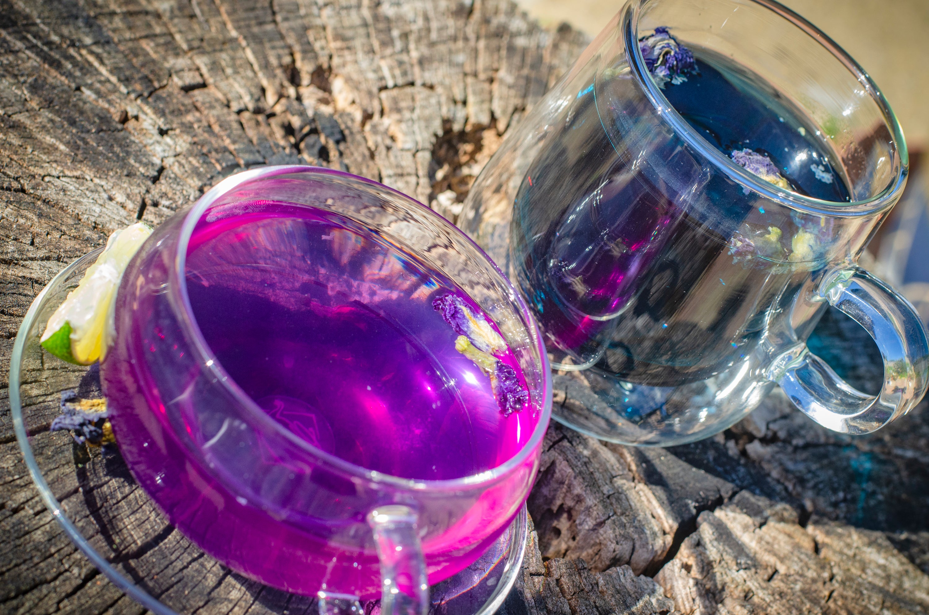 Butterfly Blue Pea Flower Tea | 50g | Colour Changing Tea | Iced Drinks | Cocktails | Rich in Antioxidants