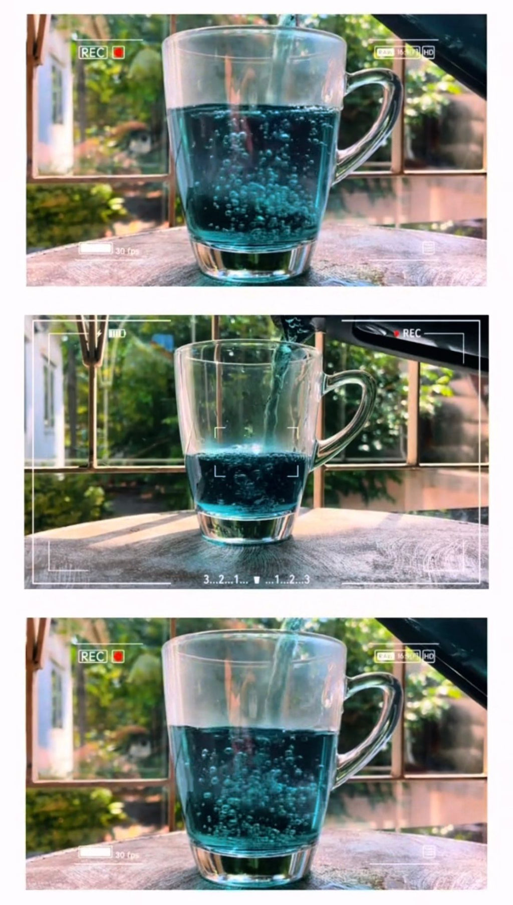 Blue Pea Flower Tea
